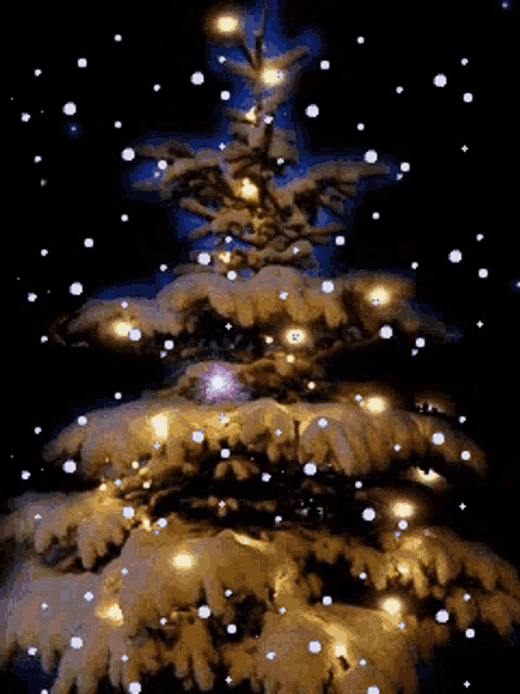 a snowy christmas tree with lights and snow falling in the background