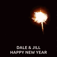 dale and jill wish you a happy new year with fireworks