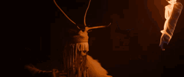 a woman is standing in front of a fire in a dark room .