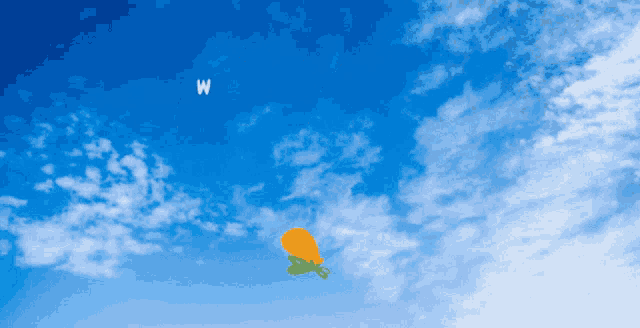 the letter w is visible in the sky above a kite