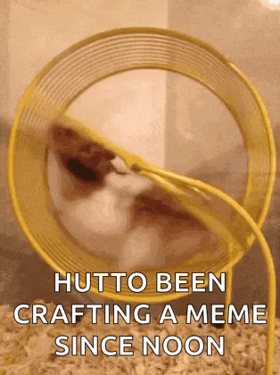 a hamster is running in a yellow hamster wheel with the caption hutto been crafting a meme since noon .