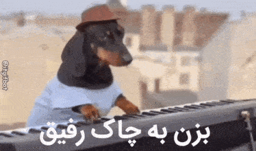 a dachshund is playing a piano with a hat on .