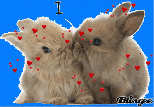 Bunny Love GIF - Bunny Love I Love You GIFs