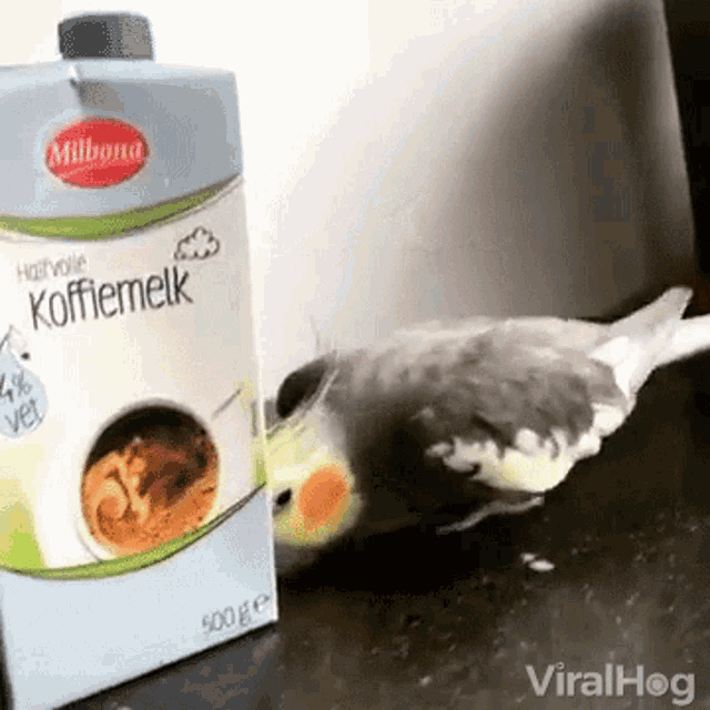 a bird standing next to a box of koffiemelk