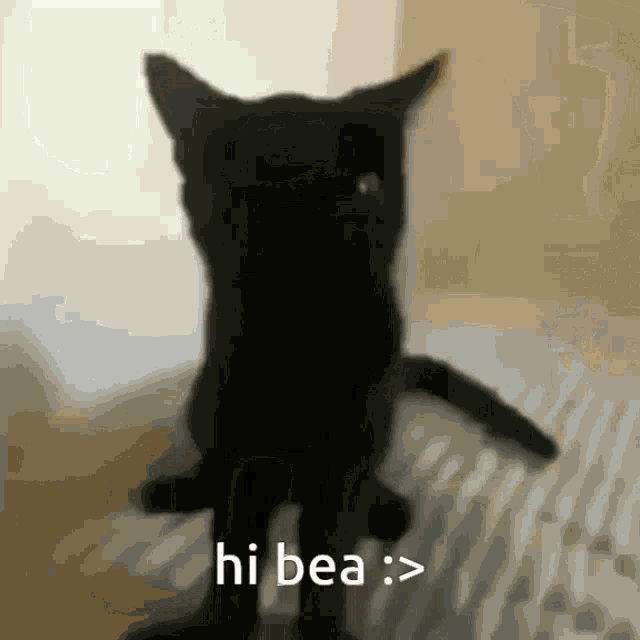 Bea Kitty GIF - Bea Kitty Cat GIFs