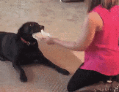 a woman is feeding a black dog a piece of ice cream