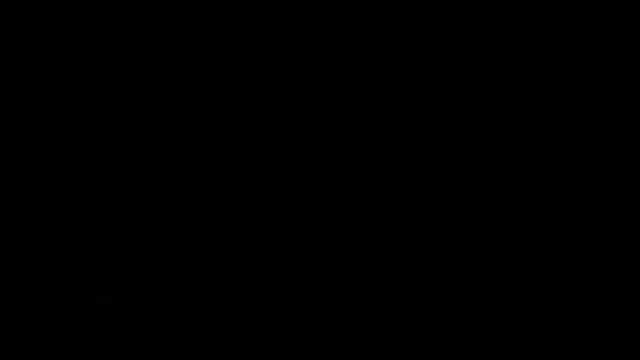 a poster that says ' executiono profissional i ' at the top