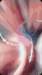 a close up of a person 's stomach with a light coming out of it