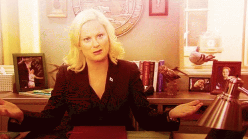 Amy Poehler What GIF - Amy Poehler What Parks And Rec GIFs