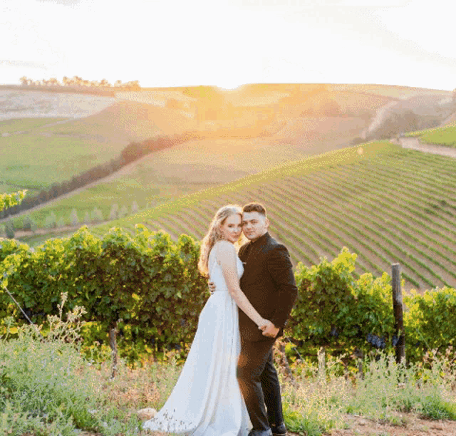 a bride and groom are posing for a picture in a vineyard