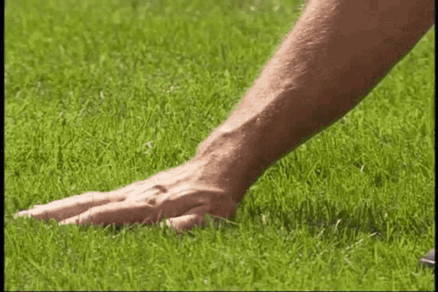 Notlogic When He Finds That Grass Exists GIF - Notlogic When He Finds That Grass Exists GIFs