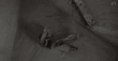 a woman is laying on the ground wearing a fur coat and a bra .