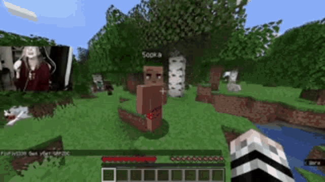 a screenshot of a video game called minecraft shows a person named sock a
