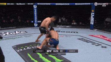 a ufc fight between torres and dober is being broadcast on espn