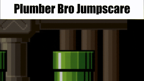 a screenshot of a video game called plumber bro jumpscape