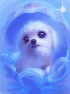 a small white dog is sitting inside of a blue bubble
