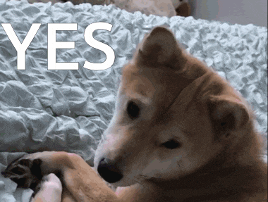 a dog is laying on a bed with the word yes written above it
