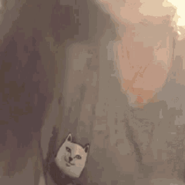 a woman wearing a t-shirt with a cat on it .