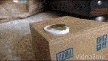 Cat Box GIF - Cat Box Robot GIFs
