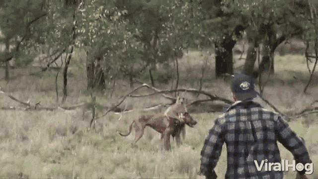 Running In Hurry GIF - Running In Hurry To The Rescue GIFs