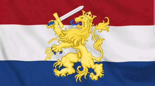 a flag with a lion holding a sword and a crown on it