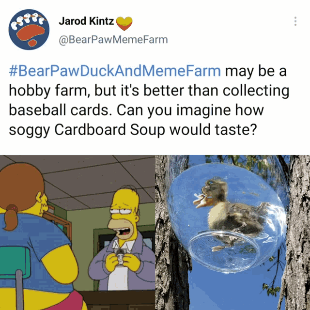 a cartoon of homer simpson talking to a woman and a picture of a duck in a bowl
