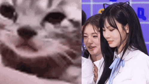 a close up of a cat 's face next to a girl with long hair