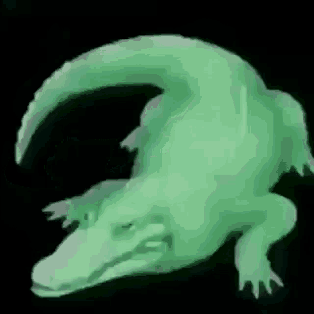 Spin Crocodile GIF - Spin Crocodile Green GIFs