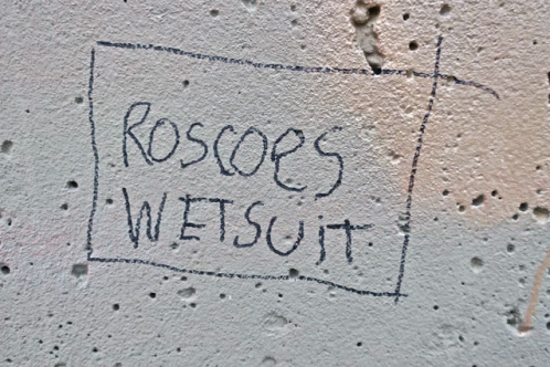 Rap Roscoes Wetsuit GIF - Rap Roscoes Wetsuit Roscoes GIFs
