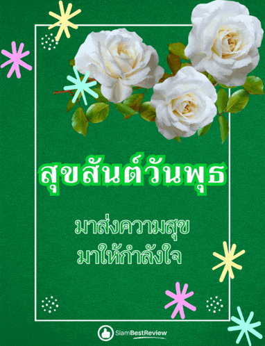 a green background with white roses and the words siambest review at the bottom