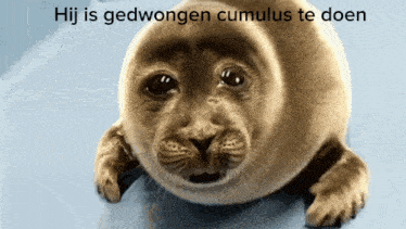 a picture of a seal with a caption that says hij is gedwongen cumulus te doen