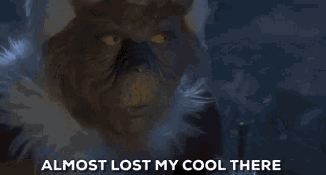 Grinch Almost Lost My Cool There GIF - Grinch Almost Lost My Cool There Jim Carrey GIFs