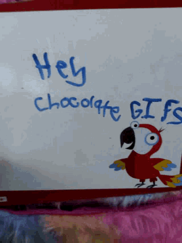 Parrot Hey GIF - Parrot Hey Chocolate Gifs GIFs