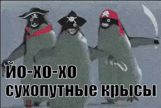 пингвины пират пираты GIF - Pirate Penguins GIFs