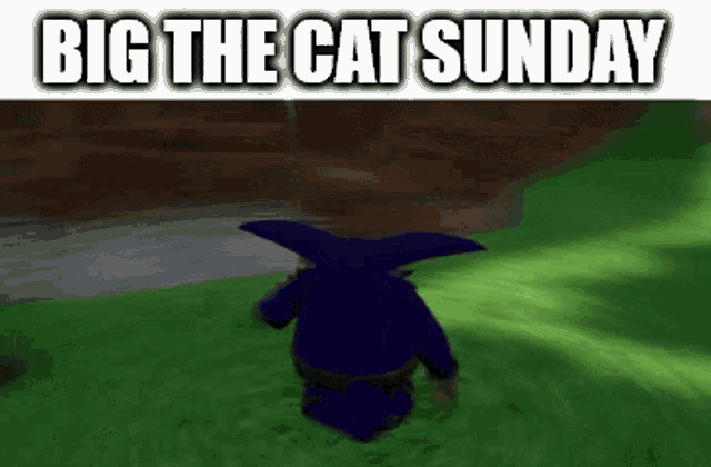 Big The Cat Sunday GIF - Big The Cat Sunday Big The Cat GIFs