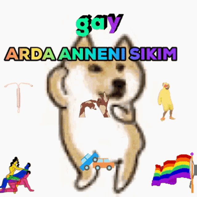 a doge with the words gay arda anneni sikim above it