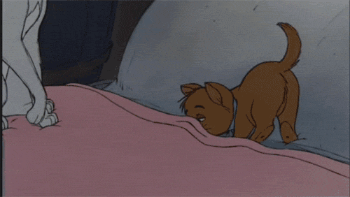 1. Going To Bed At A Reasonable Hour Is, Contrary To What You Used To Believe, Extremely Cool. GIF - Bedtime Blanket Aristocats GIFs