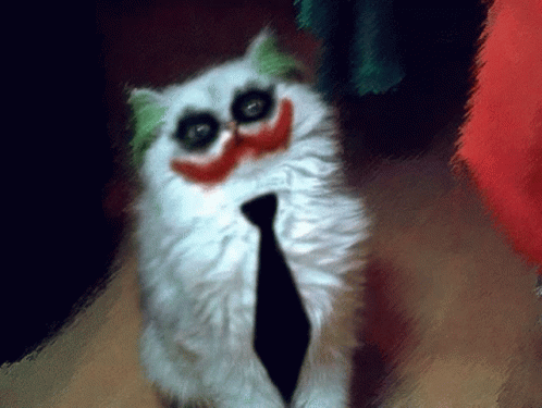Why Cats GIF - Why Cats Why So Serious GIFs