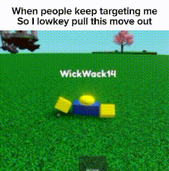 when people keep targeting me so i lowkey pull this move out wickwack14 wickwack14
