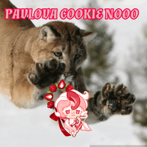 a picture of a cougar and a cookie with the words pavlova cookies nooo on it