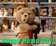 Happyhumpday GIF - Happyhumpday Humpday GIFs