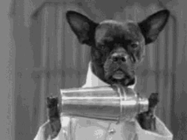 a black and white photo of a dog holding a shaker in its mouth .