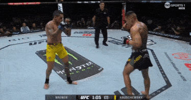 a fighter named brener is fighting another fighter named kruschewski