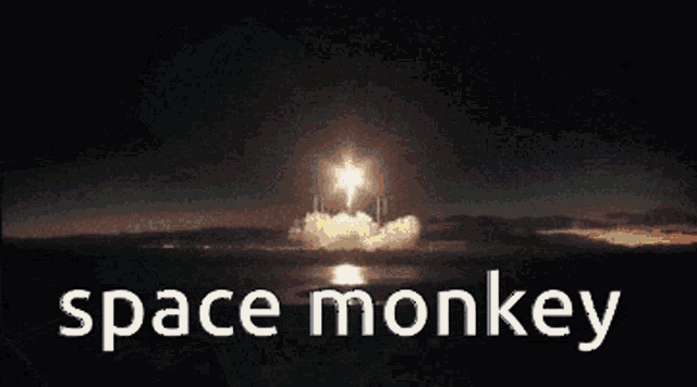 Space Monkey Space GIF - Space Monkey Space Monkey GIFs
