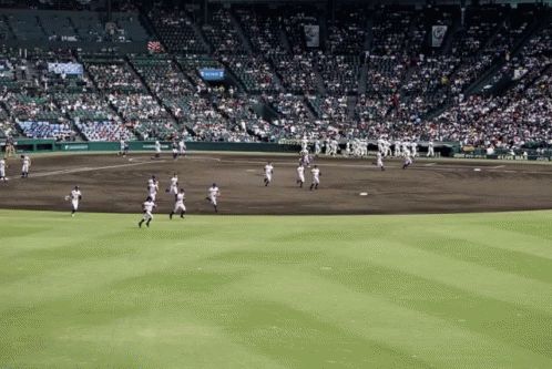 Koshien Run GIF - Koshien Run Outfielders GIFs