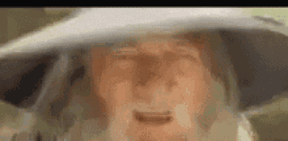a close up of an older man with a beard wearing a hat .