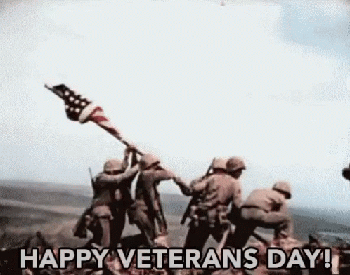 Happy Veterans Day GIF - Veterans Day Remembrance Flag GIFs