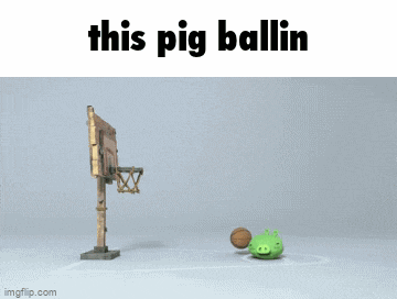 a picture of a basketball hoop with the words this pig ballin above it