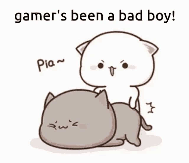 a cartoon of a cat sitting on another cat 's back with the words gamer 's been a bad boy .