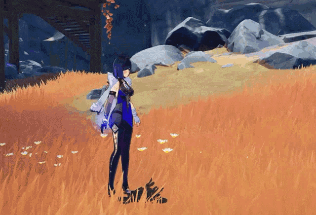 a video game character is standing in a field